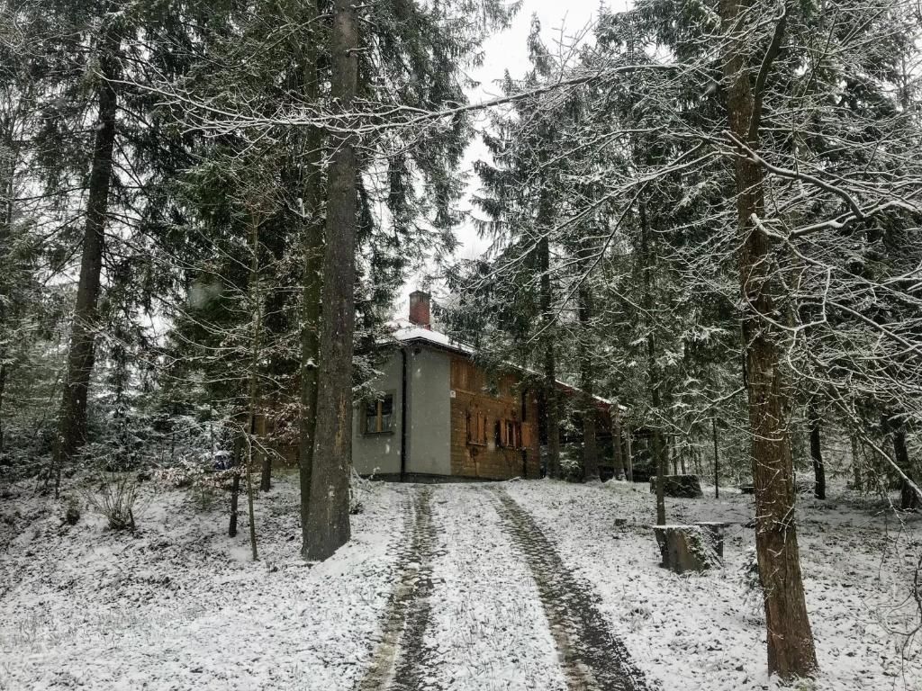 Дома для отпуска Domek Malinka Висла